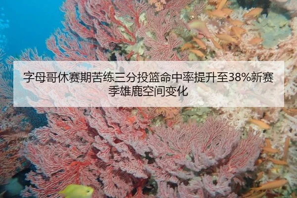 字母哥休赛期苦练三分投篮命中率提升至38%新赛季雄鹿空间变化